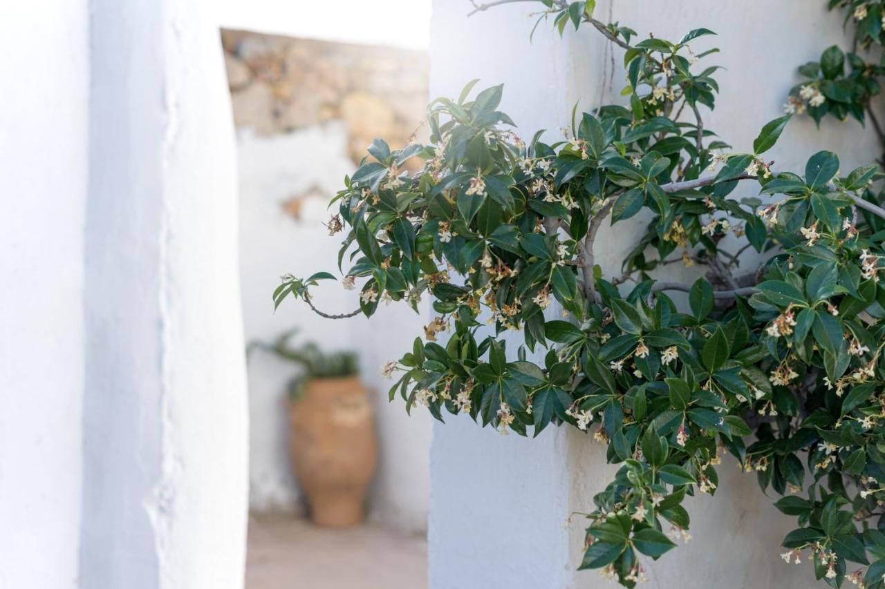 Traditional Cretan House Lithostrati Karidi Village Εξωτερικό φωτογραφία