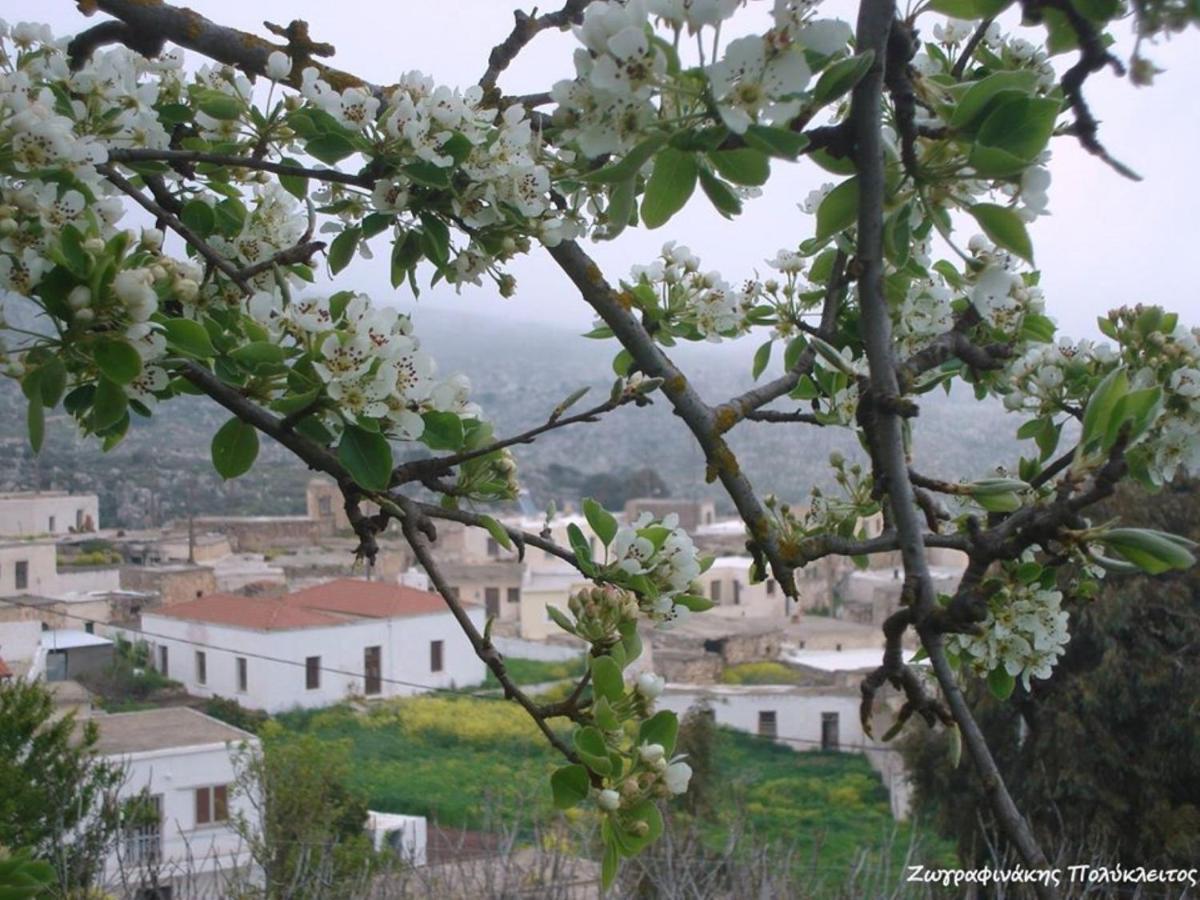 Traditional Cretan House Lithostrati Karidi Village Εξωτερικό φωτογραφία