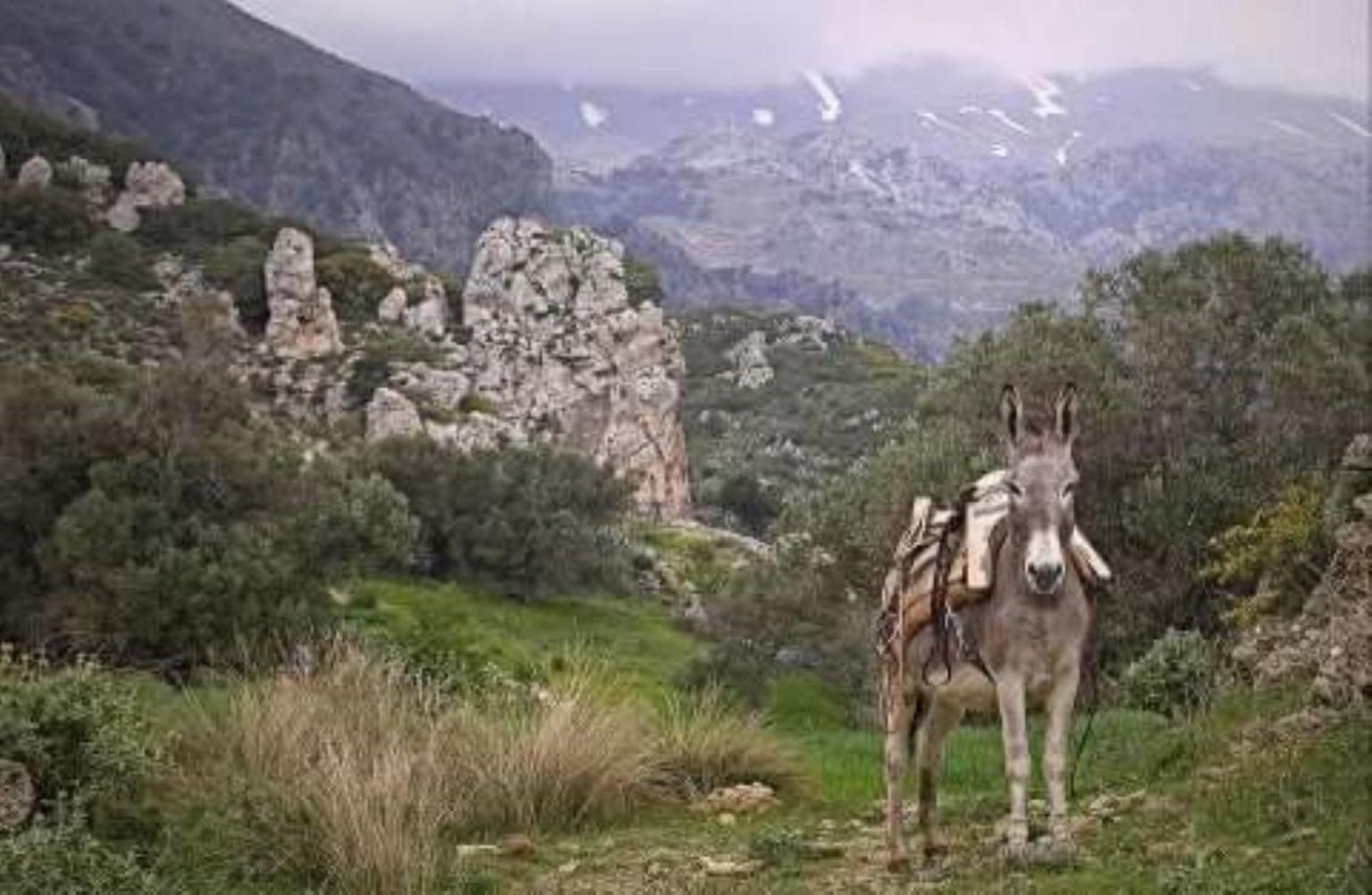 Traditional Cretan House Lithostrati Karidi Village Εξωτερικό φωτογραφία